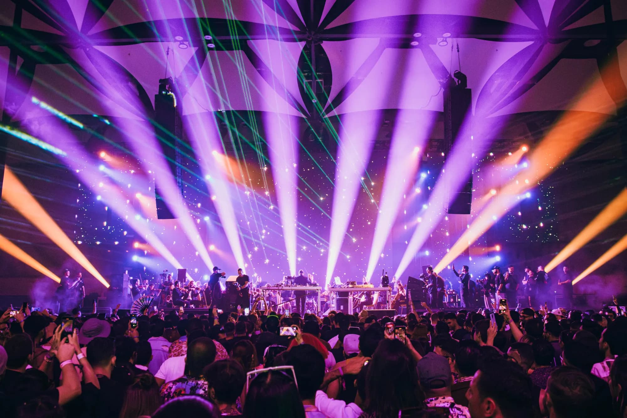 Electric Animals gallery 1